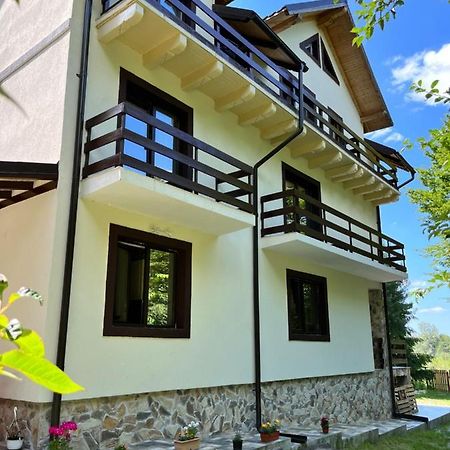 Cabana Din Padure Ξενοδοχείο Porumbacu de Sus Εξωτερικό φωτογραφία