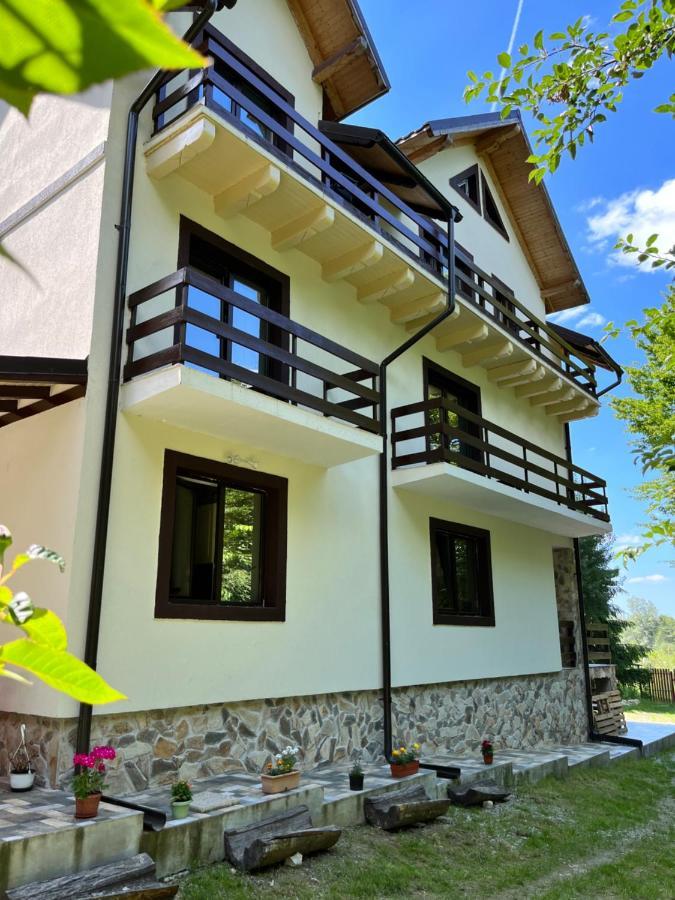 Cabana Din Padure Ξενοδοχείο Porumbacu de Sus Εξωτερικό φωτογραφία