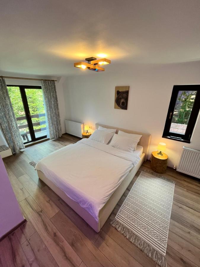 Cabana Din Padure Ξενοδοχείο Porumbacu de Sus Εξωτερικό φωτογραφία