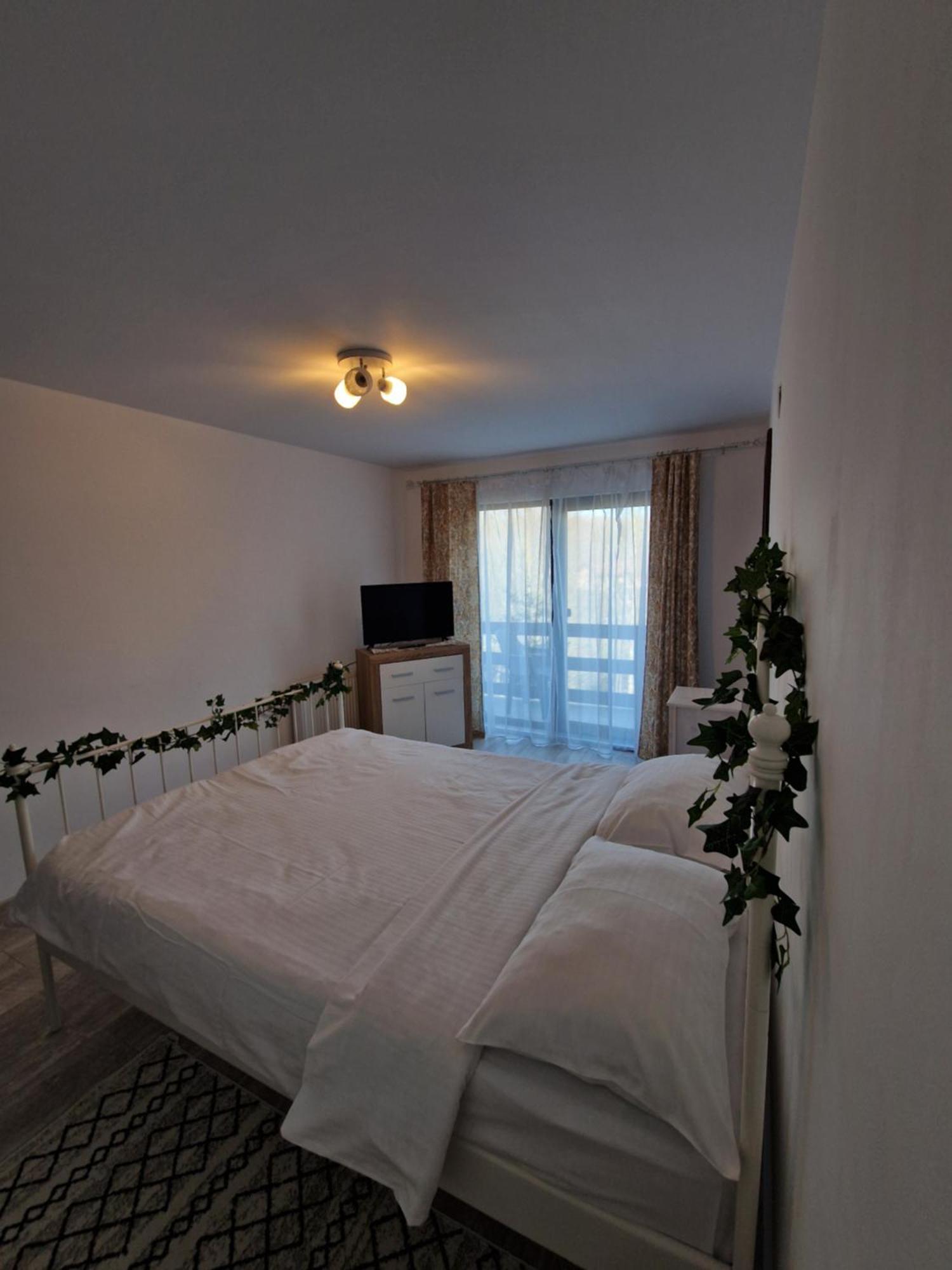 Cabana Din Padure Ξενοδοχείο Porumbacu de Sus Εξωτερικό φωτογραφία