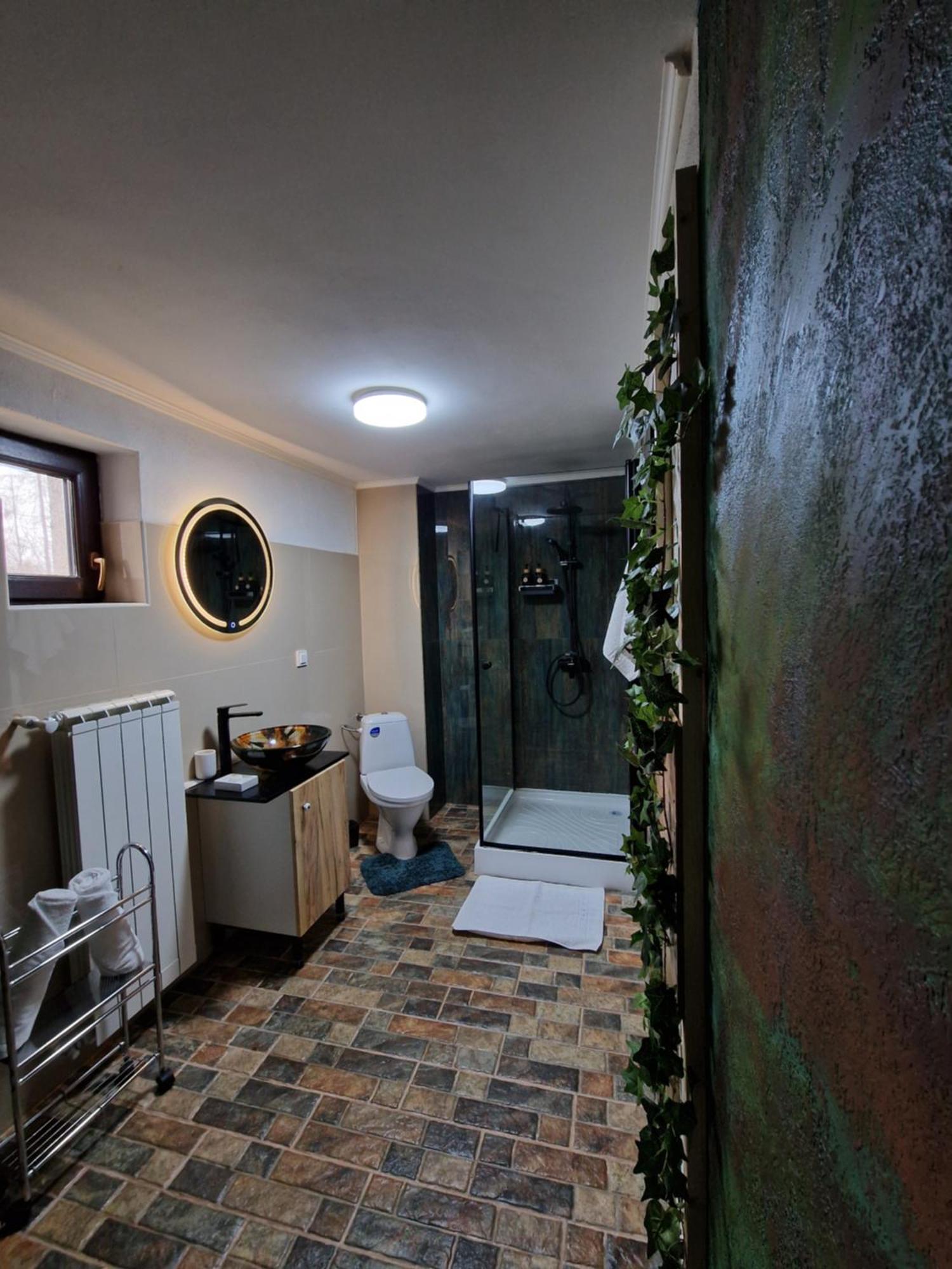 Cabana Din Padure Ξενοδοχείο Porumbacu de Sus Δωμάτιο φωτογραφία